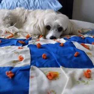 I can't believe she ate it all and didn't share!