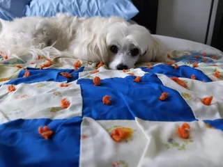 Tony's BBQ Unlimited