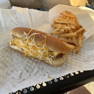 Regular coney with cheese, onion and mustard. With fries.