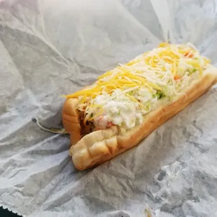 Coney dog with the work! That's onion, mustard, coney sauce, cheese, and coleslaw(sweet not vinegary)