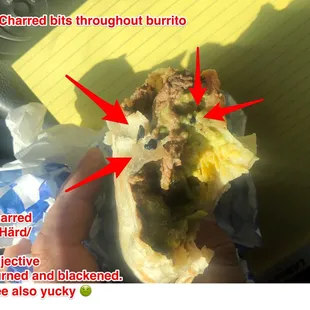 Carne Asada Burrito