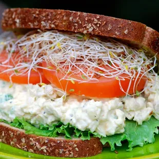 Tuna Salad Sandwich with sprouts