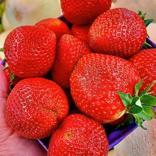 Fresh Strawberry&apos;s from fruit stand