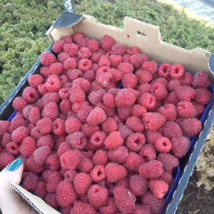 I recommend the raspberries...all of them.