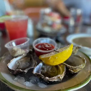 Oysters on the Half Shell