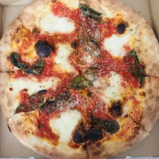 Margherita Pizza (medium)!