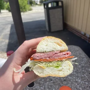 a hand holding a sandwich