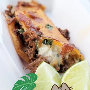 a picture of a taco with a cat on it