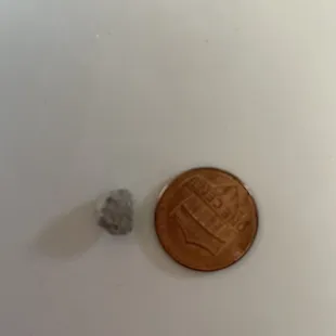 Rock in my burrito