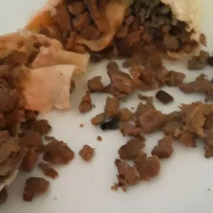Fly was in the middle of my all meat carne asada  burrito.  Smh. *throws up*