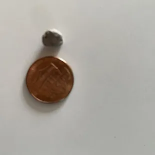 The piece of gravel rock inside my burrito