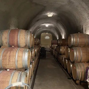 Wine cellar