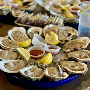 Oysters half shell