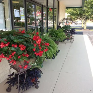 a row of planters on a sidewalk