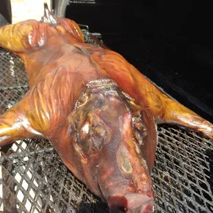 Hogs For the Cause Whole Hog BBQ. 5/30/21