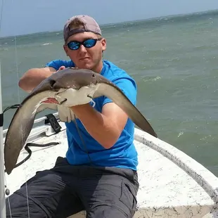 Captain Dusty with a cow nose ray