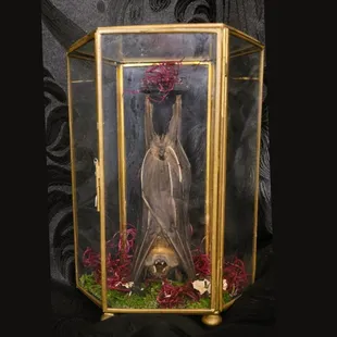 Taxidermy Bat