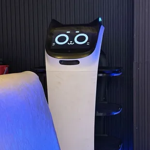 Robot serving food