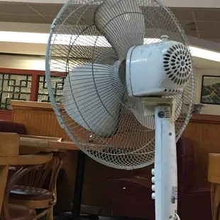 Nasty dirty fan