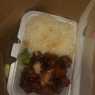 Tossing 2 whole orders of Bourbon Chicken right in the trash! Not even edible.
