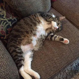 J D.
