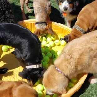 enrichment takes on all different forms.