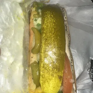 Chicago Dog