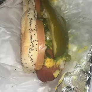 Chicago Dog