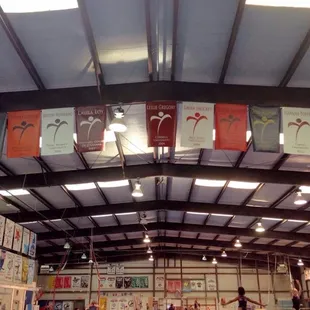 Top Flights Collegiate Gymnasts.