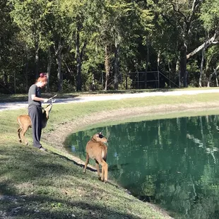 Rentable poles and tackle