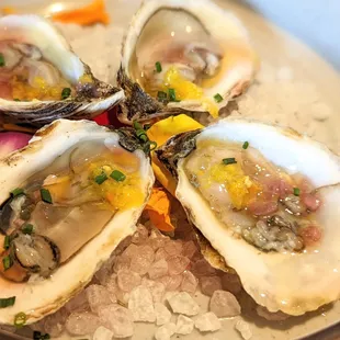 Oysters, with citrus kosho (citrus fruit fermented in salt and chilis) amazing.