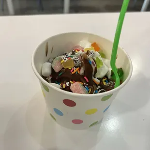 Vanilla and chocolate base, mounds of toppings and a chocolate shell