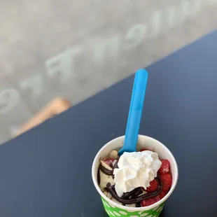 Cake batter and chocolate frozen yogurt topped with fresh raspberries, chocolate chips, almond slices, hot fudge and whip cream.