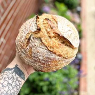 Sourdough - when I picked it up, it was still warm!