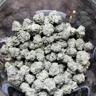 New flower &amp; deals weekly!