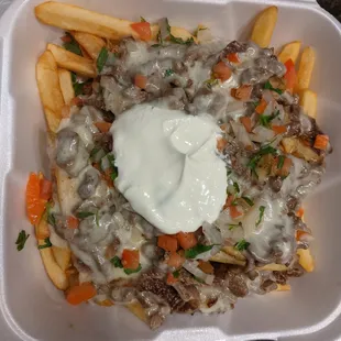 Carne Asada Fries