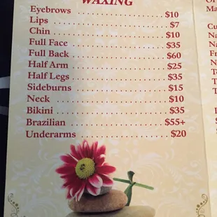 Waxing Menu