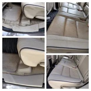 Interior Dog hair &amp; stain removal