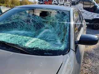 S & H Auto Glass