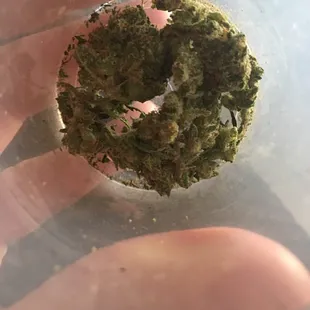 Lots of loose leafs. Broken peices. Sad excuse for a gram.