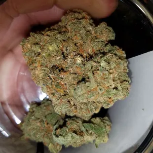 Jack Herer, 22%