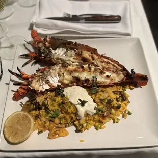 two grilled lobsters on a bed of rice