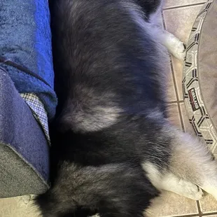 She's exhausted lol but looks so good