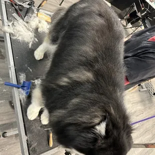 After!!! Looking so beautiful!