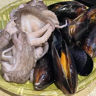 Octopus and Mussel