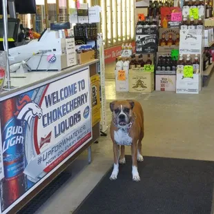 Roxy the Sunday manager