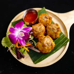 crispy chicken dumpling