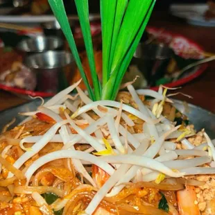 Crispy Chicken Dumplings