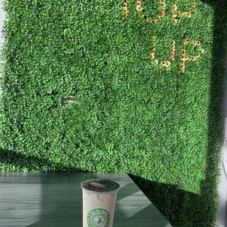 Honeydew Milk Tea