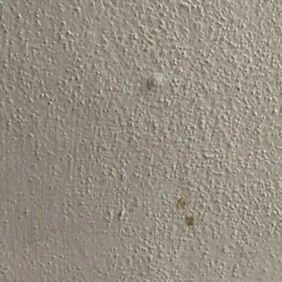 Either blood, nasal discharge or some other dried bodily fluid on the wall.